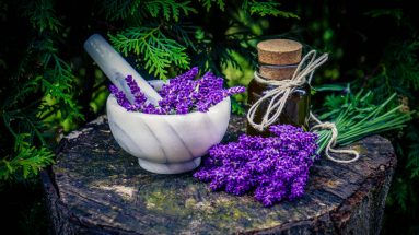 Herbs and Essential Oils